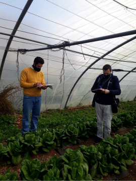 WEE Pros supports climate smart agriculture in Jordan