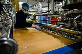 WEE Pros Launch Green Market Study in Jordan under GIZ’s GAIN Project
